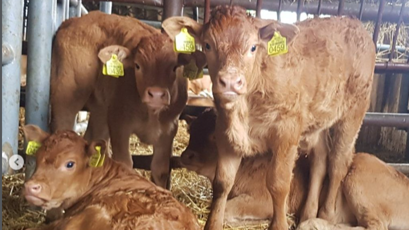 AGRO-KAMPUS