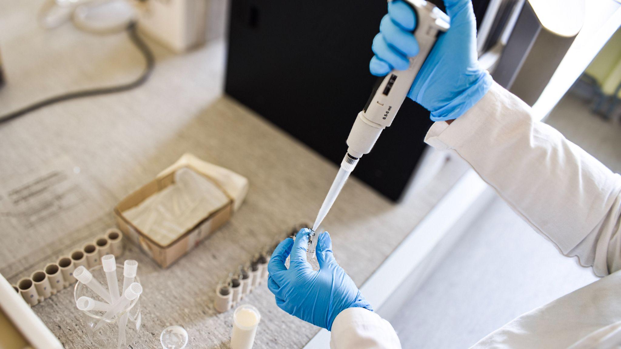 LABORATORIJE
