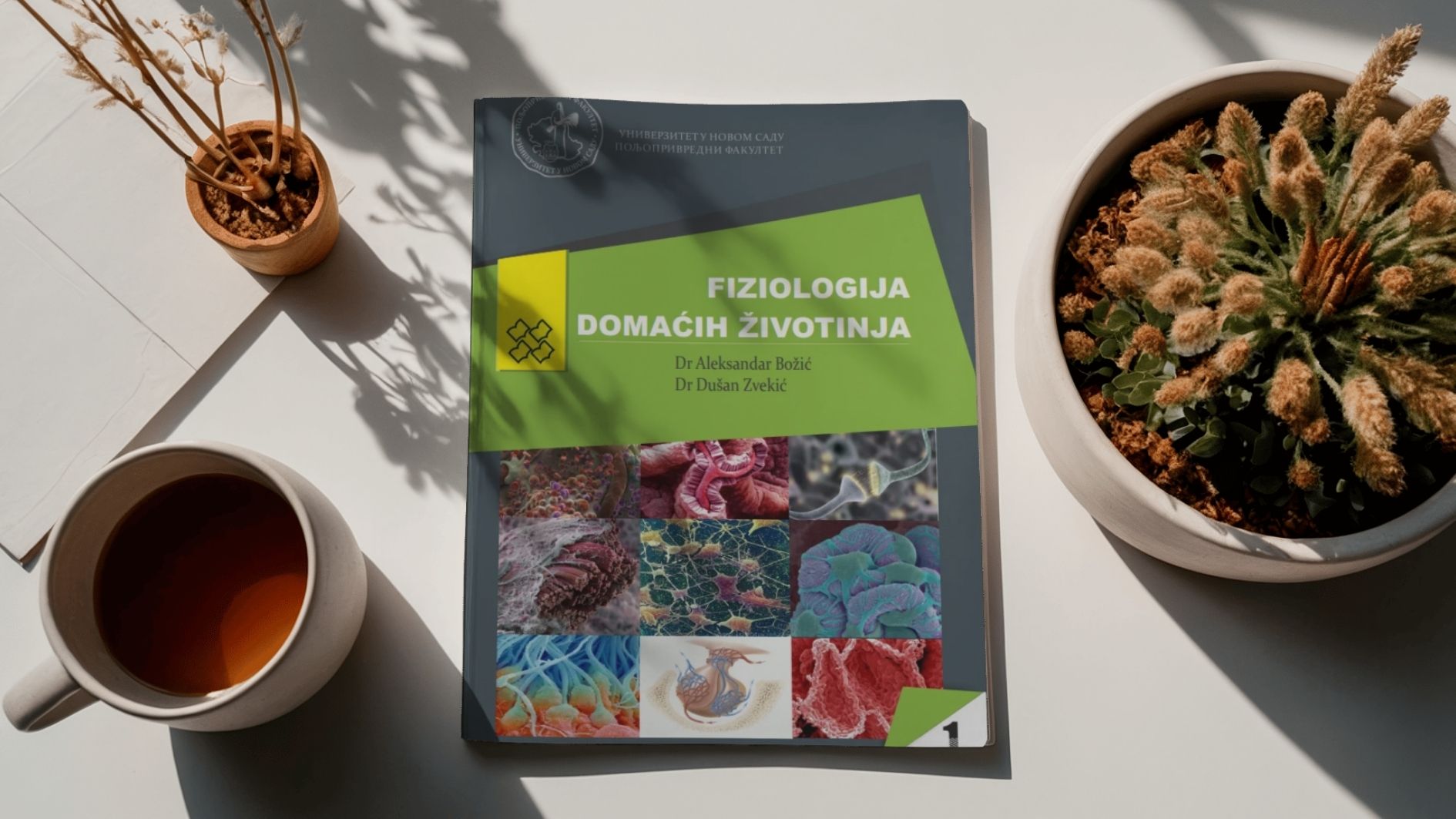 Udzbenici-i-pomocni-udzbenici