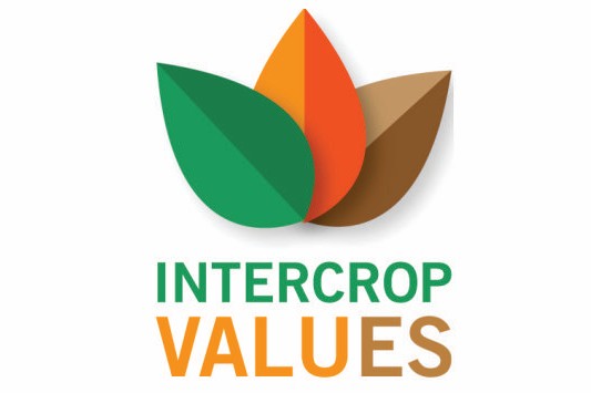Inter-Crop-Values