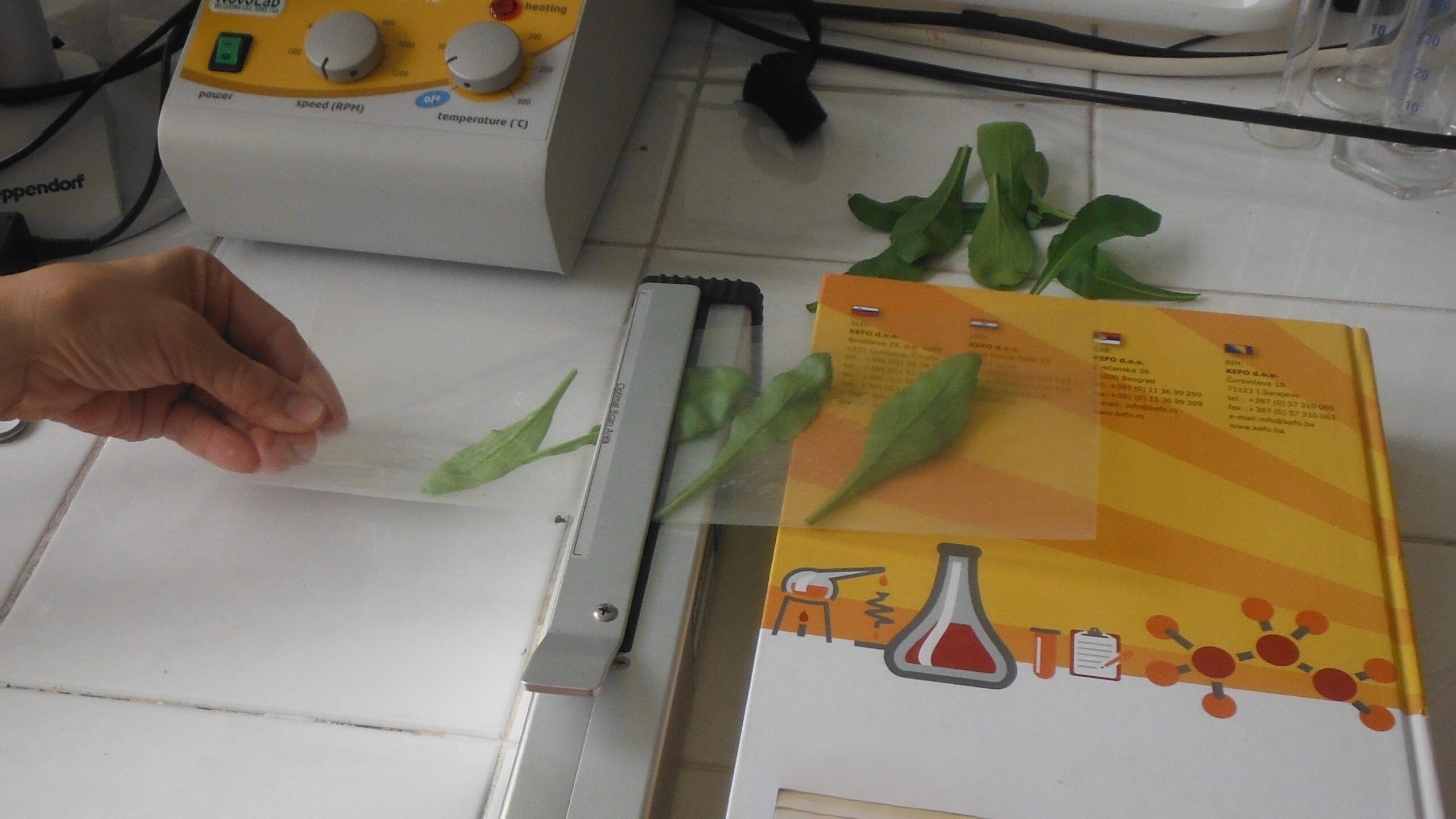 Image-4-Department-for-Plant-Material-Testing